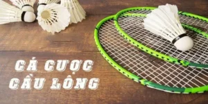 Bí Quyết Chinh Phục Cá Cược Cầu Lông Tại S666