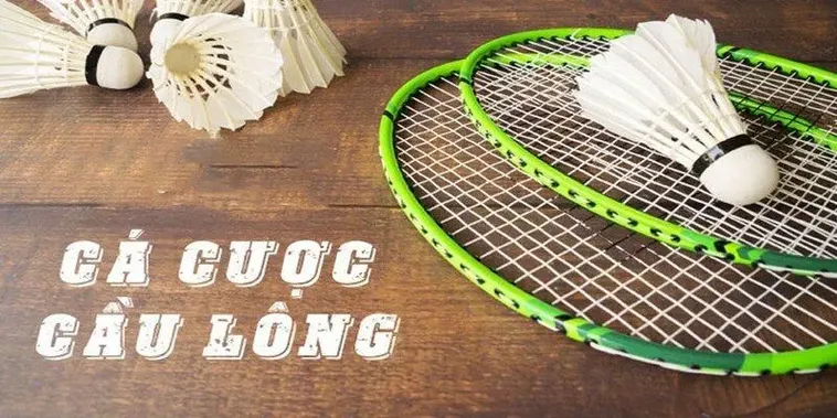 Bí Quyết Chinh Phục Cá Cược Cầu Lông Tại S666 2 Bí Quyết Chinh Phục Cá Cược Cầu Lông Tại S666